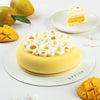 Mango Entremet