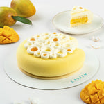 Mango Entremet